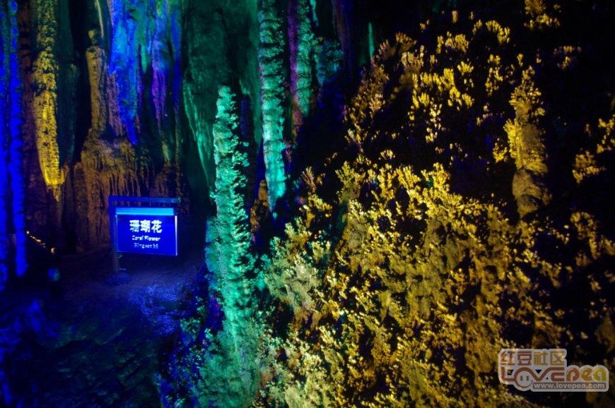 一次性餐具:便捷卫生的多场景应用