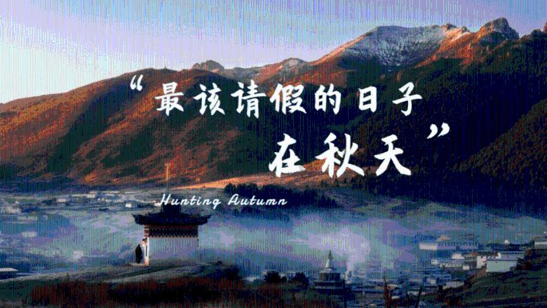 动物帮帮忙保卫家园