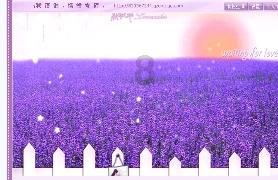 逃离金色的沙漠