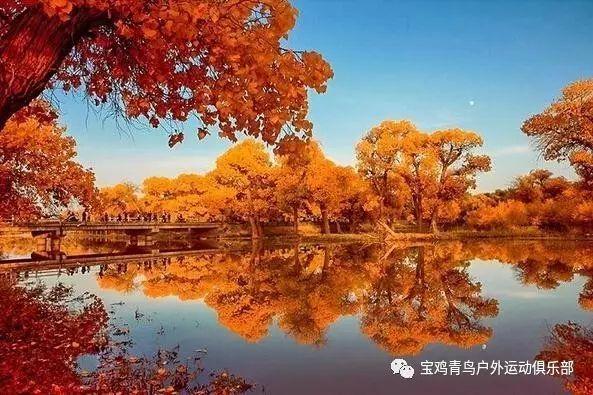 召唤神龙万宁版祖龙