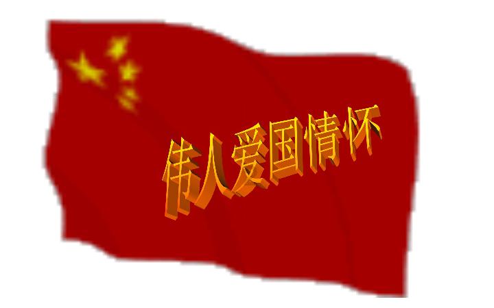 你觉得花少里杨幂的表现如何？是否路人转粉？